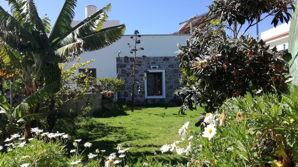 Villa Canaria Piscina Jacuzzi Jardin Santa Maria de Guia de Gran Canaria Exterior foto